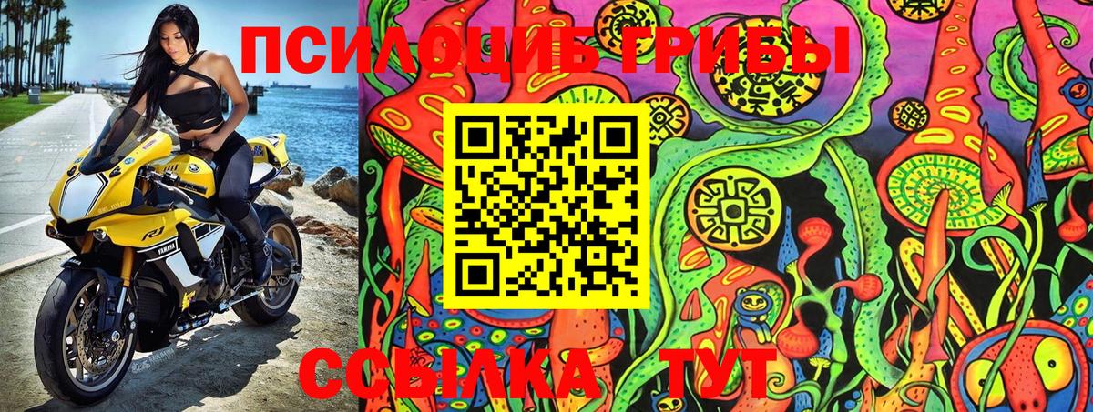 Галлюциногенные грибы мухоморы  Псилоцибиновые грибы Magic Shrooms  Ивантеевка  купить закладку  Вход с VPN 