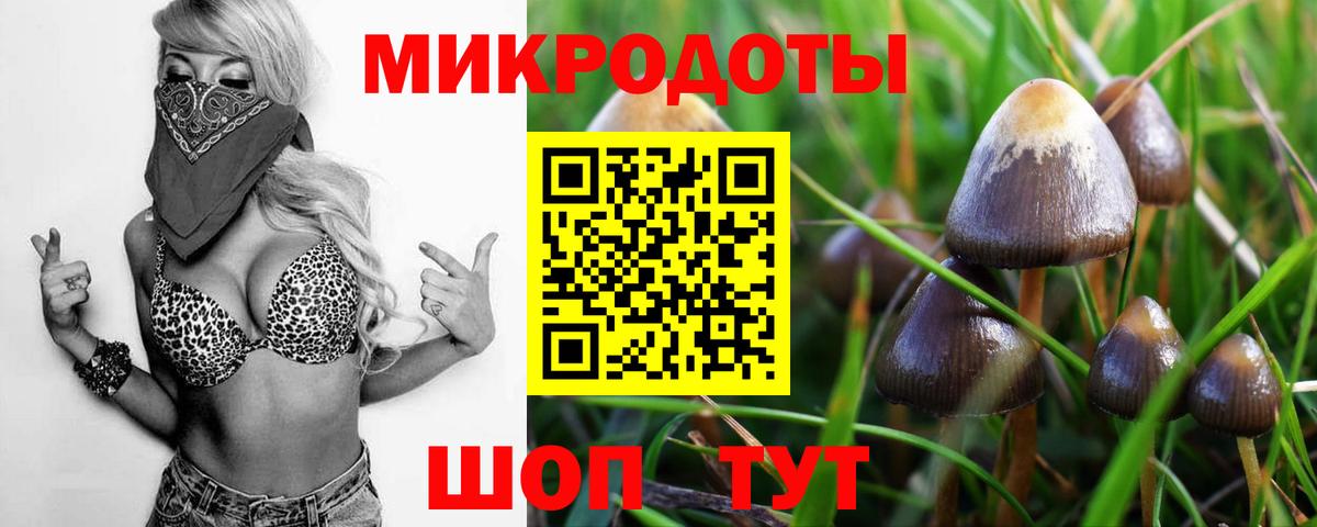 Псилоцибиновые грибы GOLDEN TEACHER Ивантеевка